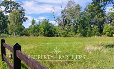 Lindas parcelas en privilegiado entorno