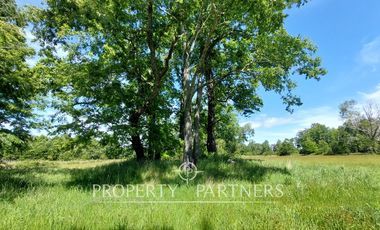 Lindas parcelas en privilegiado entorno