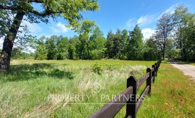 Lindas parcelas en privilegiado entorno