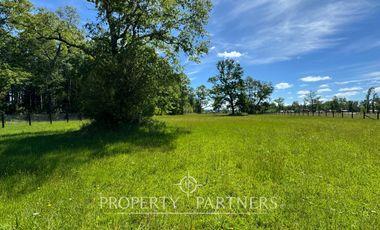 Lindas parcelas en privilegiado entorno