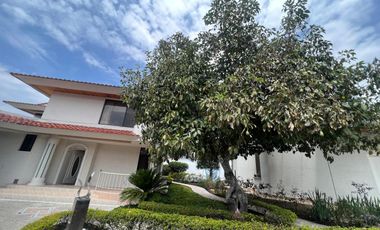 RENTO CASA EN TUMBACO CON SUITE INDEPENDIENTE