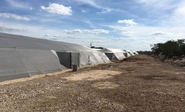 TERRENO INDUSTRIAL A 900 METROS DE CARRETERA TEYA A CANCUN EN MERIDA, YUCATAN.