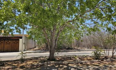 PRECIOSO TERRENO RESIDENCIAL EN VENTA EN VILADIU, CHOLUL, YUCATAN