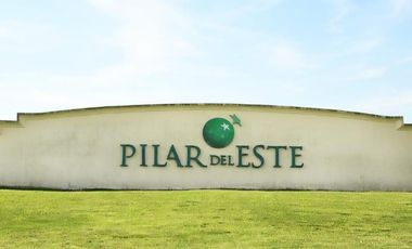 Lote interno y central. Santa Emilia, Pilar del Este