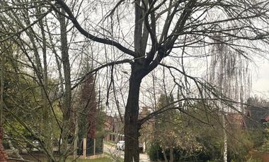 Schaub excelente terreno de 440 m2 netos