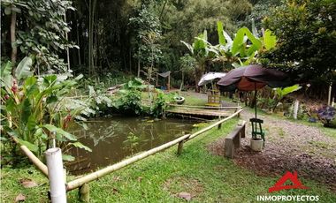 Casa-finca turística en Las Camelias, Dosquebradas