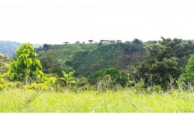 FINCA GANADERA QUIMBAYA RICA 9cd