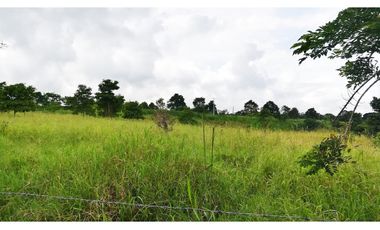 FINCA GANADERA QUIMBAYA RICA 9cd