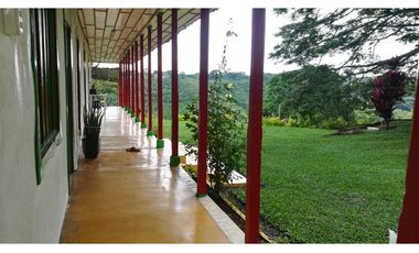 FINCA GANADERA QUIMBAYA RICA 9cd