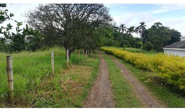 FINCA GANADERA QUIMBAYA RICA 9cd