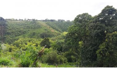 FINCA GANADERA QUIMBAYA RICA 9cd