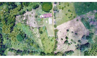 FINCA GANADERA QUIMBAYA RICA 9cd