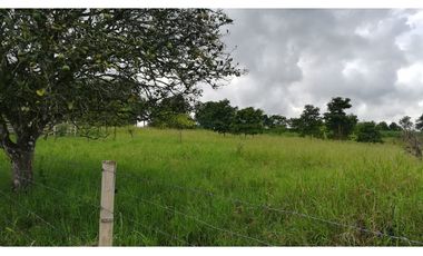 FINCA GANADERA QUIMBAYA RICA 9cd