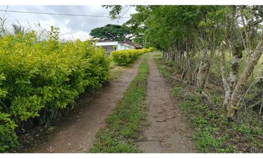 FINCA GANADERA QUIMBAYA RICA 9cd