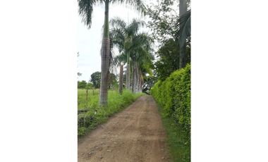 FINCA GANADERA QUIMBAYA RICA 9cd