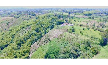 FINCA GANADERA QUIMBAYA RICA 9cd