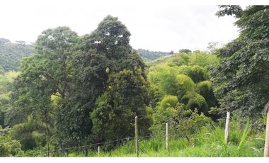 FINCA GANADERA QUIMBAYA RICA 9cd