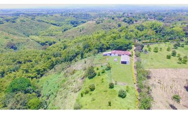 FINCA GANADERA QUIMBAYA RICA 9cd