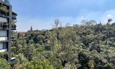 Departamento en venta en Lomas Altas 247