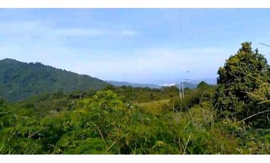 Lote En Minca Por La Via Al Campano Santa Marta Colombia