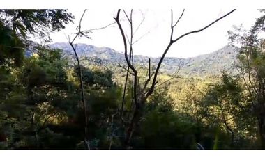 Lote En Minca Por La Via Al Campano Santa Marta Colombia