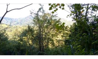 Lote En Minca Por La Via Al Campano Santa Marta Colombia