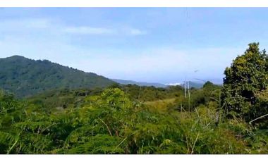 Lote En Minca Por La Via Al Campano Santa Marta Colombia