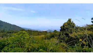 Lote En Minca Por La Via Al Campano Santa Marta Colombia