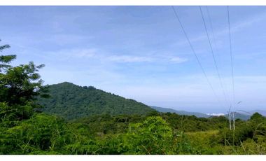 Lote En Minca Por La Via Al Campano Santa Marta Colombia