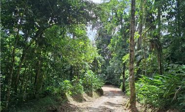 Se vende casa lote en conjunto cerrado Circasia