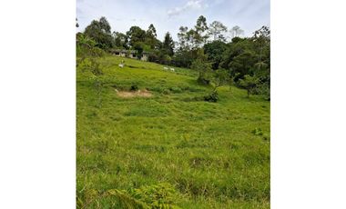 Se vende casa lote en conjunto cerrado Circasia