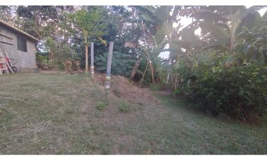 Oportunidad inversión turística! Se vende finca Via Alcala-Filandia