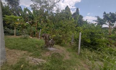 Oportunidad inversión turística! Se vende finca Via Alcala-Filandia