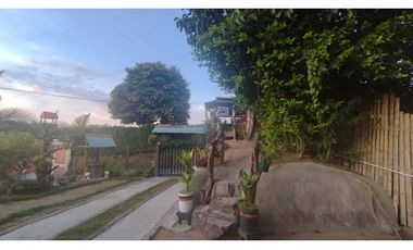 Oportunidad inversión turística! Se vende finca Via Alcala-Filandia