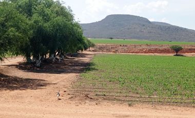 RANCHO EN VENTA ZONA TEQUISQUIAPAN, QUERÉTARO