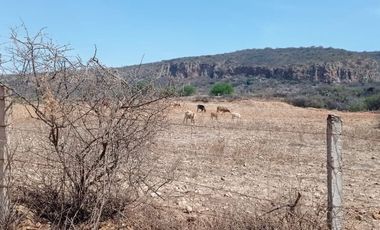 RANCHO EN VENTA ZONA TEQUISQUIAPAN, QUERÉTARO