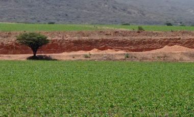 RANCHO EN VENTA ZONA TEQUISQUIAPAN, QUERÉTARO