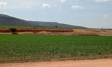 RANCHO EN VENTA ZONA TEQUISQUIAPAN, QUERÉTARO