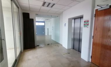 Oficina con mobiliario y servicios incluidos. Teofilo Borunda Juárez.