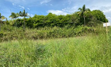 Lote Venta Avenida 30 De Agosto Pereira