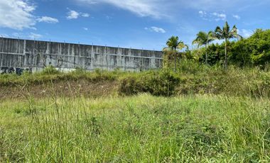 Lote Venta Avenida 30 De Agosto Pereira