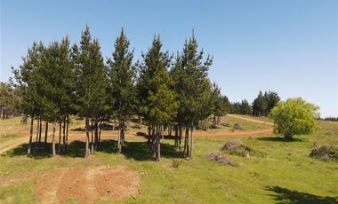 Parcela en Venta en Rucapequen, Flor del Itata, parcelas con Rol