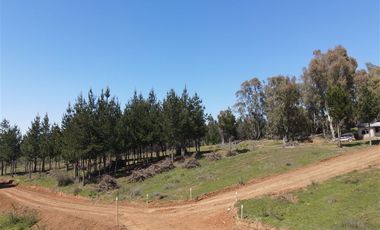 Parcela en Venta en Rucapequen, Flor del Itata, parcelas con Rol