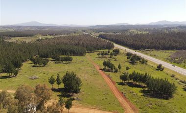 Parcela en Venta en Rucapequen, Flor del Itata, parcelas con Rol