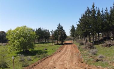 Parcela en Venta en Rucapequen, Flor del Itata, parcelas con Rol