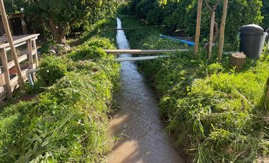 Venta Parcela Agrícola a 2 horas de Santiago