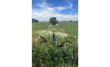 Terreno 4 hectáreas en Venta o Renta, autopista México-Pachuca