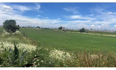 Terreno 4 hectáreas en Venta o Renta, autopista México-Pachuca