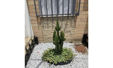 VENTA CASA LOTE LA CEJA CON AIRE