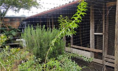 VENTA CASA LOTE LA CEJA CON AIRE